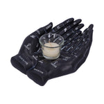Palmist's Guide (Black) 22.3cm - 100