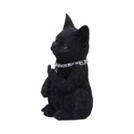 Cattitude 16.5cm - 100