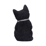 Cattitude 16.5cm - 100