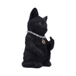 Cattitude 16.5cm - 100