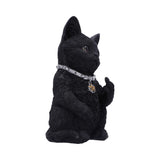 Cattitude 16.5cm - 100