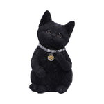 Cattitude 16.5cm - 100