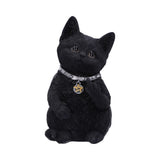 Cattitude 16.5cm - 100