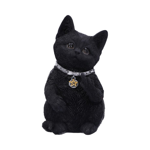 Cattitude 16.5cm - 100