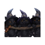 Witches Helpers Key Hanger 20cm - 100