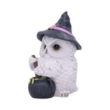 Owl Potion 17.5cm - 100