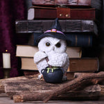 Owl Potion 17.5cm - 100