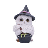 Owl Potion 17.5cm - 100