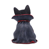 Count Catula 15.5cm - 100