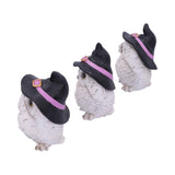 Three Wise Feathered Familiars 9cm - 45
