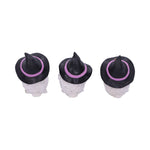 Three Wise Feathered Familiars 9cm - 45