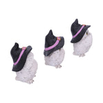 Three Wise Feathered Familiars 9cm - 45