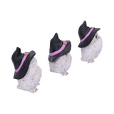 Three Wise Feathered Familiars 9cm - 45