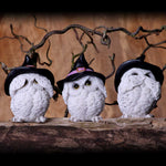 Three Wise Feathered Familiars 9cm - 45