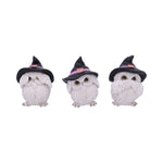 Three Wise Feathered Familiars 9cm - 45