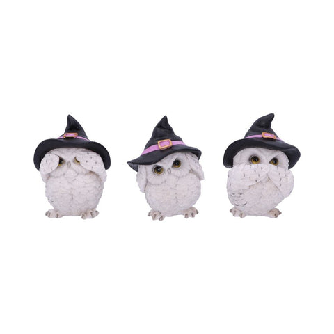 Three Wise Feathered Familiars 9cm - 45