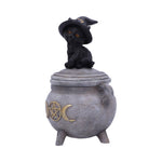 Kitty's Brew 14cm - 100