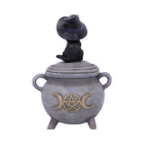 Kitty's Brew 14cm - 100