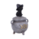 Kitty's Brew 14cm - 100