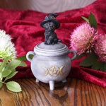 Kitty's Brew 14cm - 100