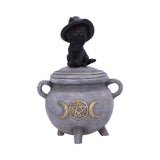Kitty's Brew 14cm - 100