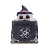 Owl's Spell 15cm - 80