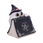 Owl's Spell 15cm - 80