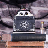Owl's Spell 15cm - 80