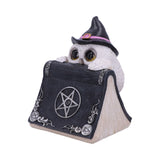 Owl's Spell 15cm - 80