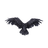 Dark Feather 55cm - 89