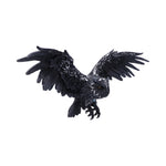 Dark Feather 55cm - 89