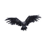 Dark Feather 55cm - 89