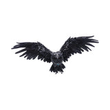 Dark Feather 55cm - 89