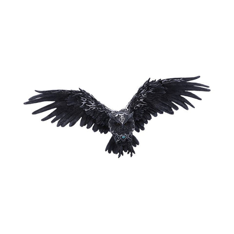 Dark Feather 55cm - 89