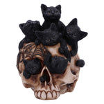 Cranial Litter 14cm - 100