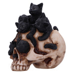 Cranial Litter 14cm - 100