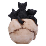 Cranial Litter 14cm - 100