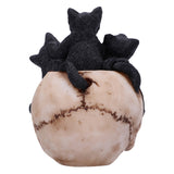 Cranial Litter 14cm - 100