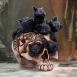 Cranial Litter 14cm - 100