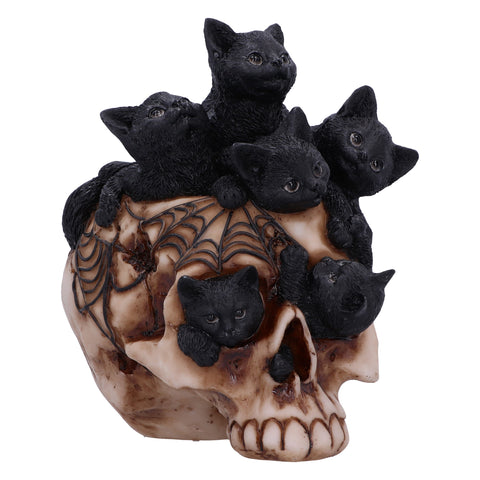 Cranial Litter 14cm - 100