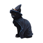 Bewitching 18.5cm - 100