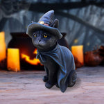 Bewitching 18.5cm - 100