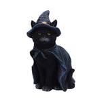 Bewitching 18.5cm - 100