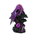 Draconic Seer 17cm - 100