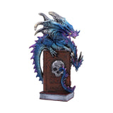 A Tale of Dragons 22cm - 100