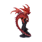 Draconic Roots 28.5cm - 100