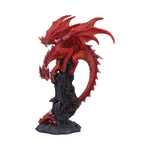 Draconic Roots 28.5cm - 100