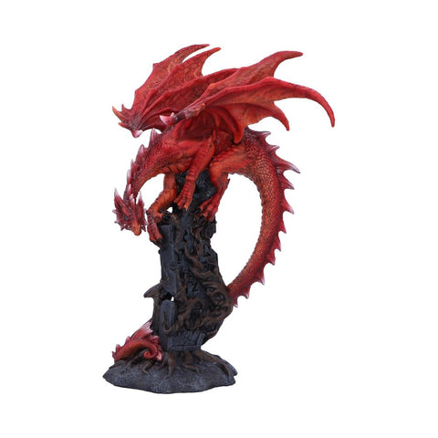 Draconic Roots 28.5cm - 100