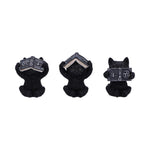 Three Wise Spell Cats 8.5cm - 100