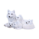 Pups Protection 20.5cm - 100